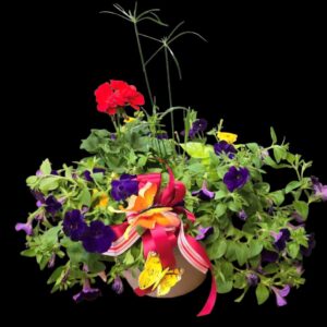 Large mix flowering outdoor patio planter for Mothers Day delivery near Ogden Iowa