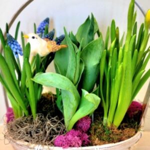 Medium Spring Bulb Basket