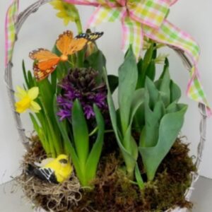 Small Spring Bulb Basket