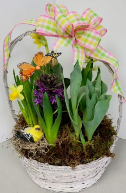 Small Spring Bulb Basket