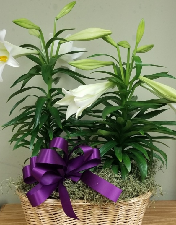 Decorated Easter Lily Planter