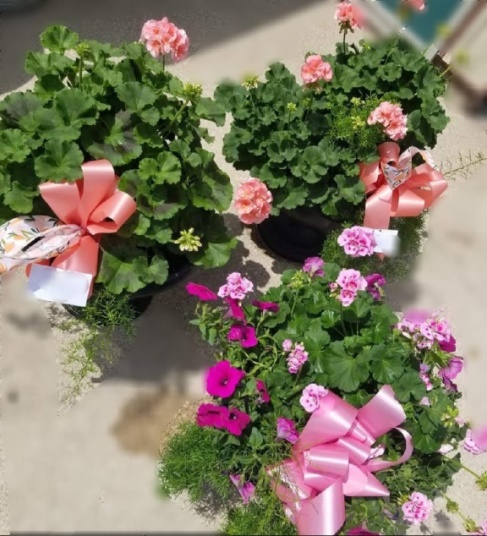 14in Mix Patio Planter