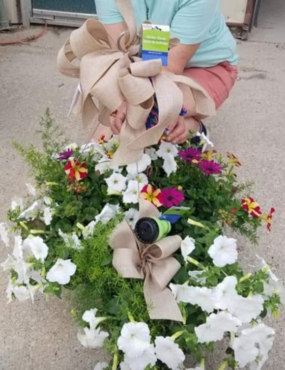 Jumbo Mix Hanging Basket