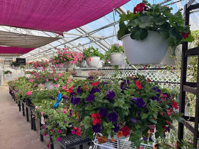 Greene Goods Market, Jefferson, Iowa: Flower Shop, Nursery and Farm Store